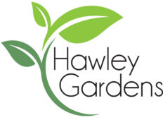 Hawley Gardens